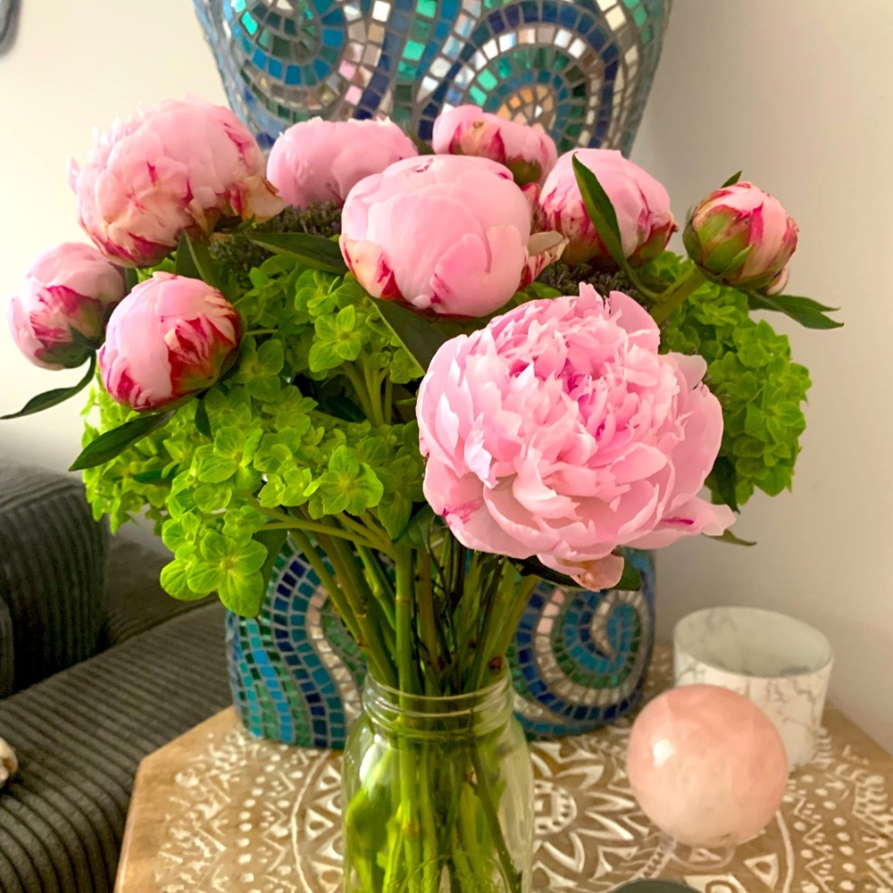 Meet your Posher, Morgan